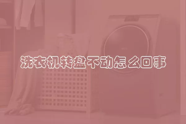 洗衣机转盘不动怎么回事