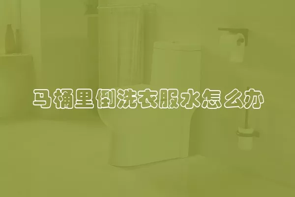 马桶里倒洗衣服水怎么办