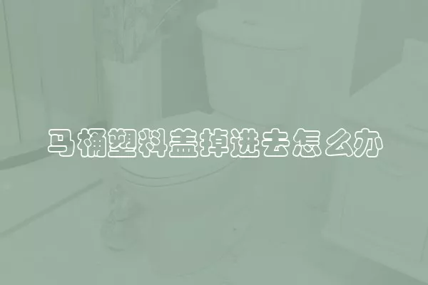 马桶塑料盖掉进去怎么办