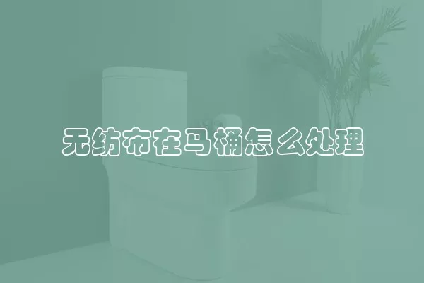 无纺布在马桶怎么处理