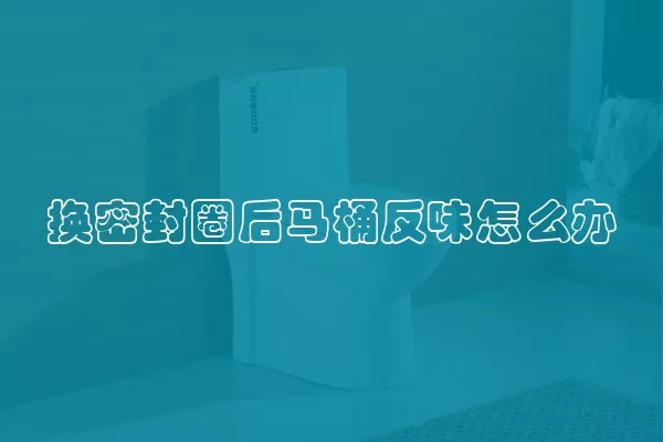换密封圈后马桶反味怎么办