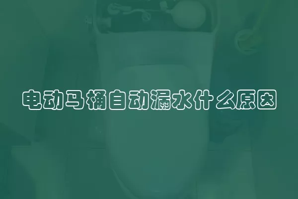 电动马桶自动漏水什么原因