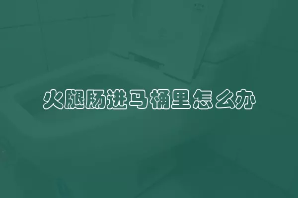 火腿肠进马桶里怎么办