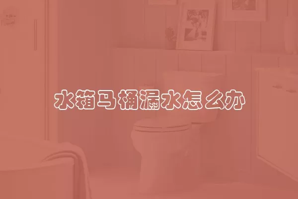 水箱马桶漏水怎么办