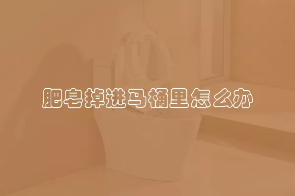 肥皂掉进马桶里怎么办