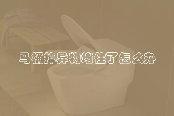 马桶掉异物堵住了怎么办