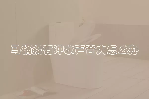 马桶没有冲水声音大怎么办