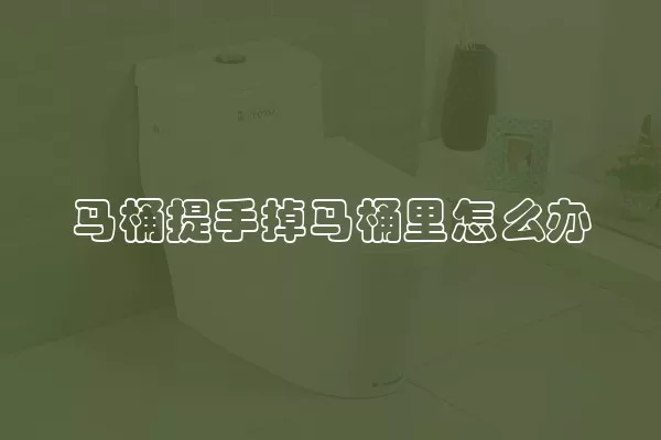 马桶提手掉马桶里怎么办