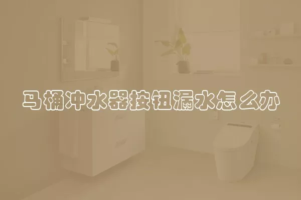 马桶冲水器按钮漏水怎么办