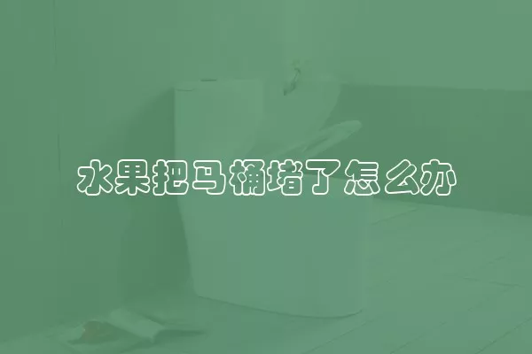 水果把马桶堵了怎么办