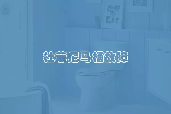 杜菲尼马桶故障