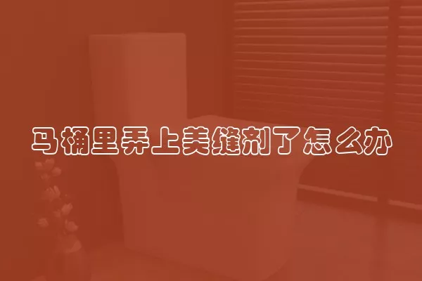 马桶里弄上美缝剂了怎么办