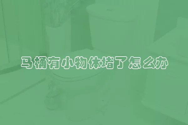 马桶有小物体堵了怎么办