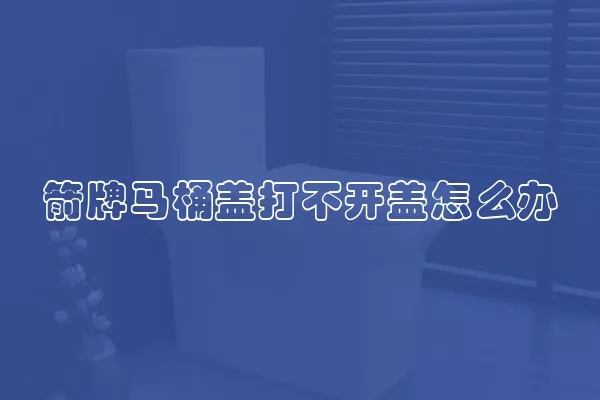 箭牌马桶盖打不开盖怎么办