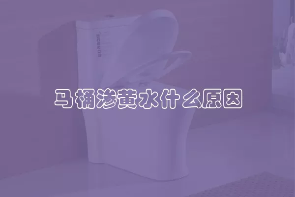 马桶渗黄水什么原因