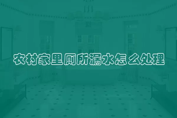 农村家里厕所漏水怎么处理