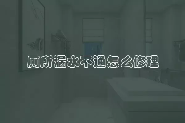 厕所漏水不通怎么修理