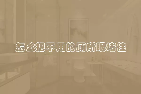 怎么把不用的厕所眼堵住
