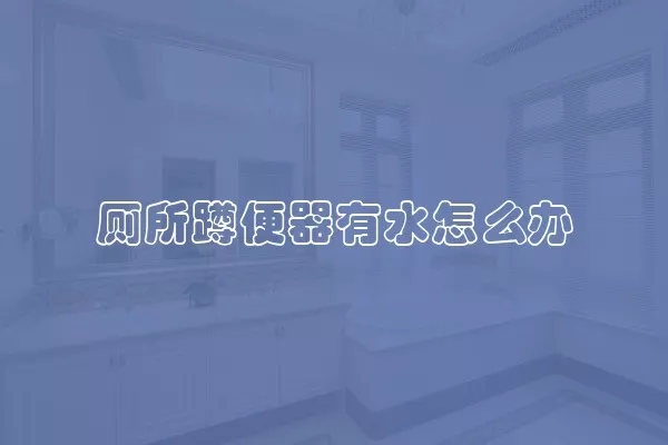 厕所蹲便器有水怎么办