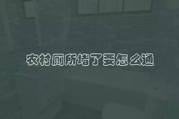 农村厕所堵了要怎么通