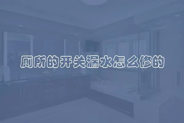 厕所的开关漏水怎么修的