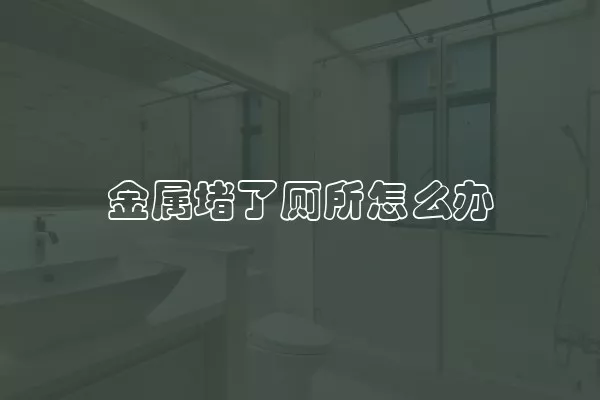 金属堵了厕所怎么办