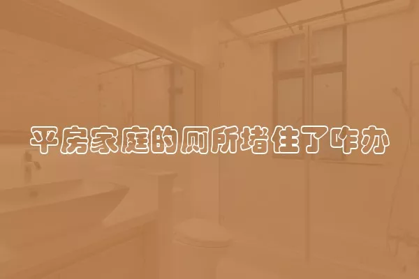 平房家庭的厕所堵住了咋办