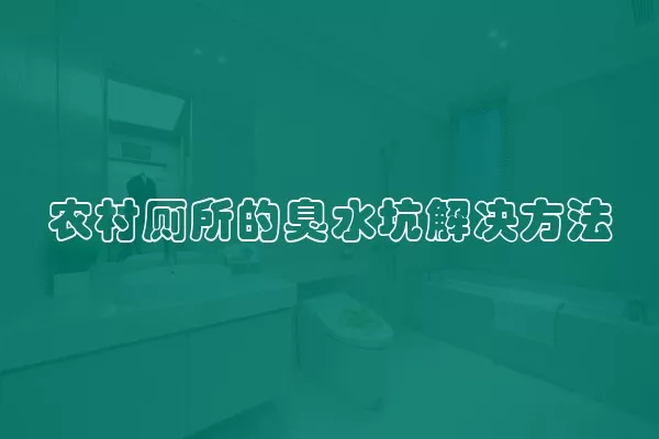 农村厕所的臭水坑解决方法