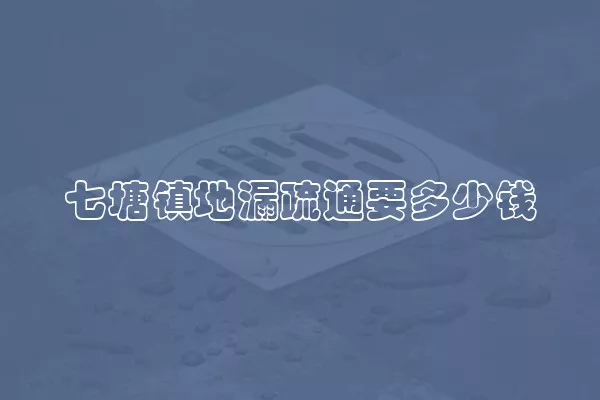 七塘镇地漏疏通要多少钱