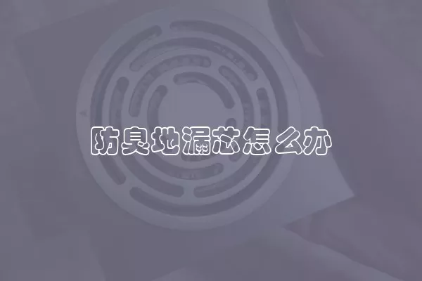 防臭地漏芯怎么办