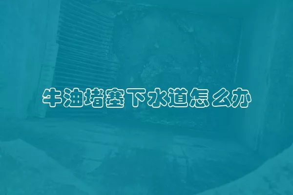 牛油堵塞下水道怎么办