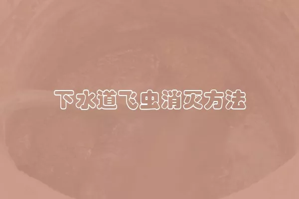 下水道飞虫消灭方法