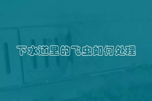 下水道里的飞虫如何处理