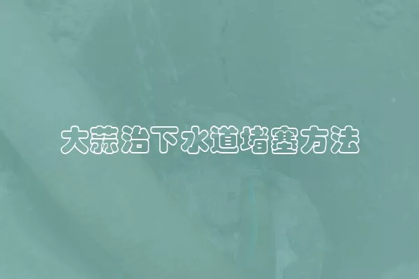 大蒜治下水道堵塞方法