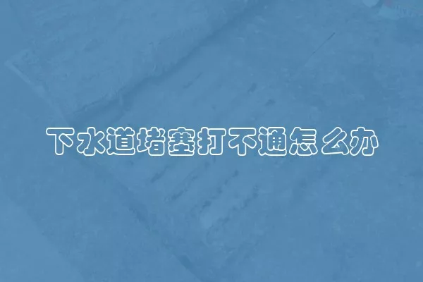 下水道堵塞打不通怎么办