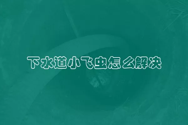 下水道小飞虫怎么解决
