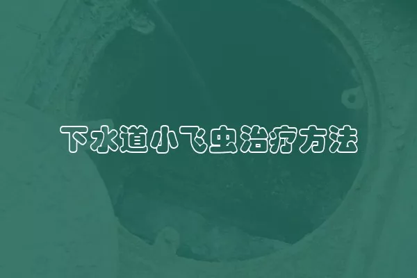 下水道小飞虫治疗方法