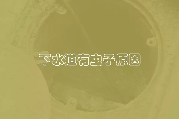 下水道有虫子原因