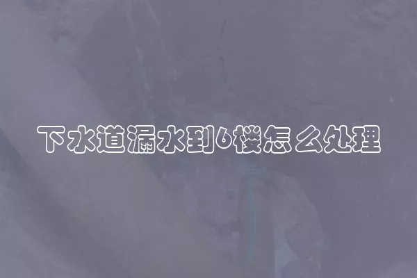 下水道漏水到6楼怎么处理