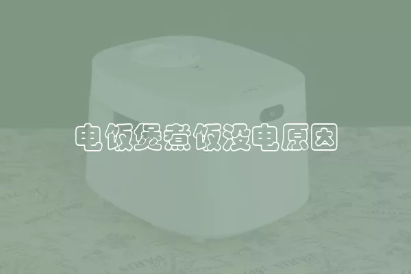 电饭煲煮饭没电原因