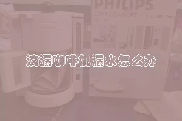 滴漏咖啡机漏水怎么办