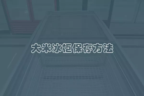 大米冰柜保存方法