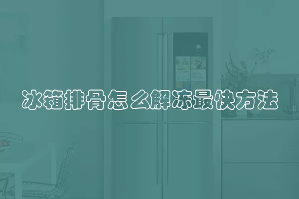 冰箱排骨怎么解冻最快方法