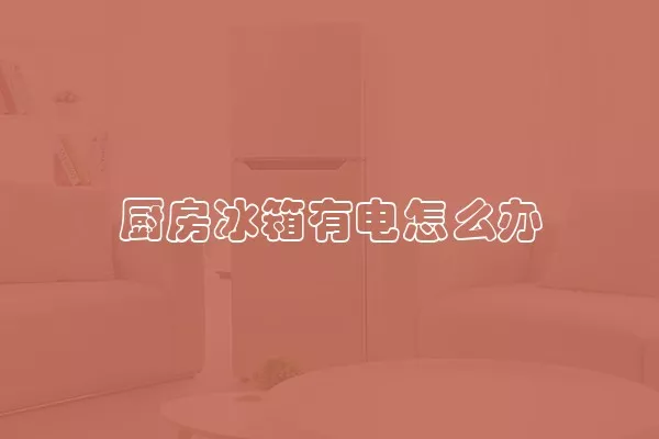 厨房冰箱有电怎么办