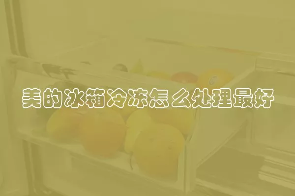 美的冰箱冷冻怎么处理最好