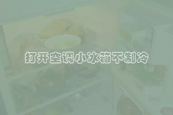 打开空调小冰箱不制冷