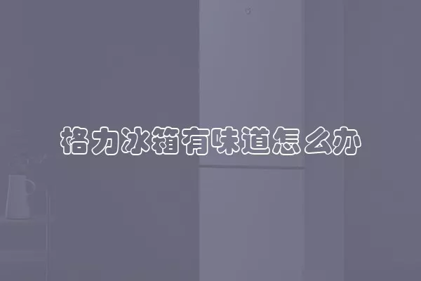 格力冰箱有味道怎么办