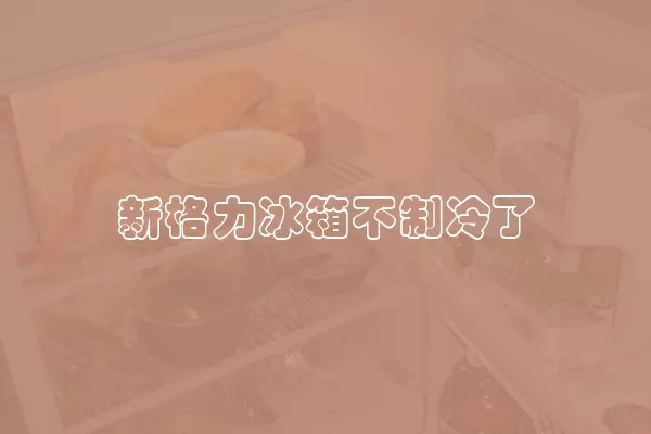 新格力冰箱不制冷了