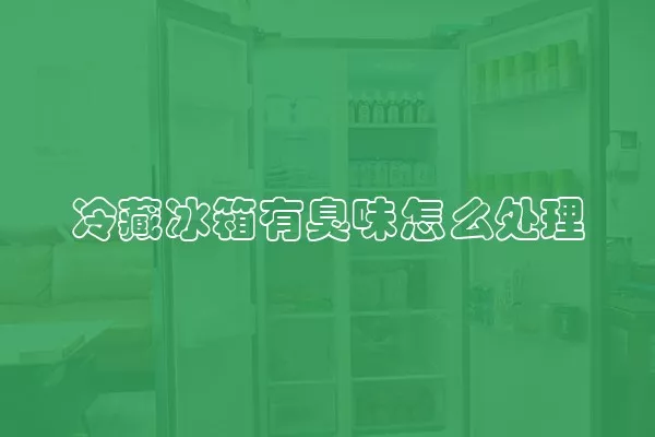 冷藏冰箱有臭味怎么处理