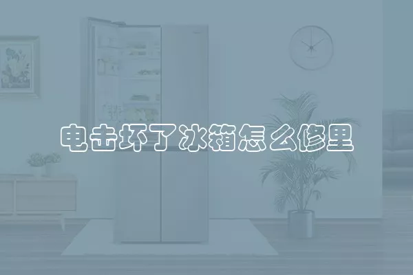 电击坏了冰箱怎么修里